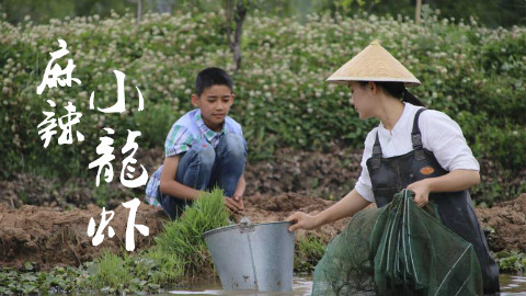 和弟弟捉了10斤小龙虾,炒了一大锅硬菜:麻辣小龙虾